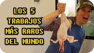 LOS 5 TRABAJOS MÁS RAROS DEL MUNDO  CURIOSIDADES [upl. by Iona]