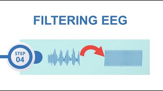 EEGLAB preprocessing 4 Filtering [upl. by Nahtanoj]