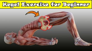 Kegel Exercise Beginner Step By Step [upl. by Barb]