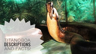 Titanoboa  Description and Facts [upl. by Gwendolin655]