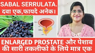 Sabal serrulata homeopathic medicine।Urine infection। [upl. by Jaine613]