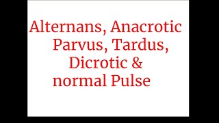 Alternans Anacrotic  parvus tardus dicroticamp normal Pulse [upl. by Aliam887]