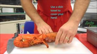 How to cook a live lobster [upl. by Suilenroc]