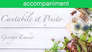 accompaniment Cantabile et PrestoGeorges Enesco [upl. by Castra]