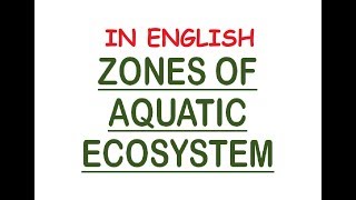 Aquatic Ecosystem Zones  PhoticAphotic Limnetic Pelagic Intertidal Neritic In Eng [upl. by Nyloc691]