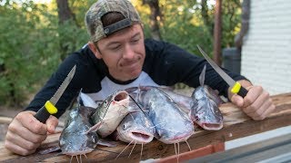 How to Clean and Cook Delicious Catfish [upl. by Dhiman]