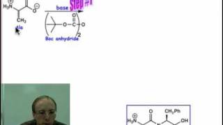 Peptide Synthesis [upl. by Oicangi]