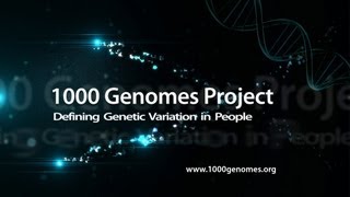 1000 Genomes Project Defining Genetic Variation in People [upl. by Ttsepmet]