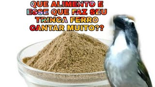 O ALIMENTO QUE E USANDO PARA APRONTAR TRINCA FERRO DURANTE DÉCADAS VOCÊ CONHECE [upl. by Qifahs]