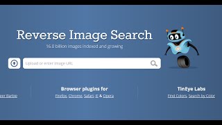 TinEye Best Reverse Image Search Engine [upl. by Lael]