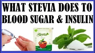 What Stevia Does To Your Blood Sugar amp Insulin [upl. by Profant998]