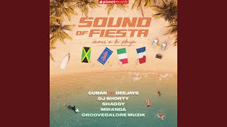 Sound Of Fiesta Vamos A La Playa feat Shaggy [upl. by Teodoro592]