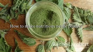 How to Make Nettle Powder [upl. by Minta]