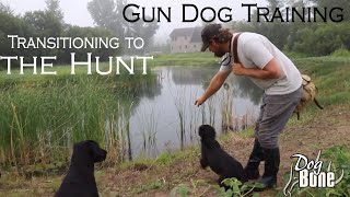 Gun Dog Training Transitioning to the Hunt  Part 1 [upl. by Zetana925]