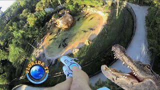 Gatorland Zipline Screamin Gator In Orlando Florida [upl. by Elatia334]