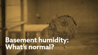 Basement Humidity Whats Normal [upl. by Randall]