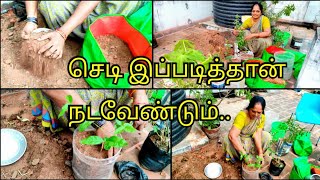 புதிய தொட்டிகள் பாசை தொட்டியை அகற்றிவிட்டு ரெடிபண்ணுங்க Maadi thottam garden [upl. by Aisyat402]