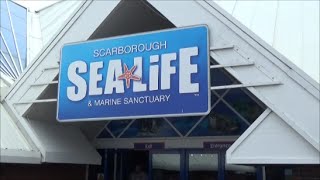 Scarborough SeaLife Centre  Full Walkthrough [upl. by Docile]