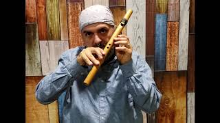 How to Play the Native American Flute in under 10 minutes EASY Lesson 1 [upl. by Vanhook]