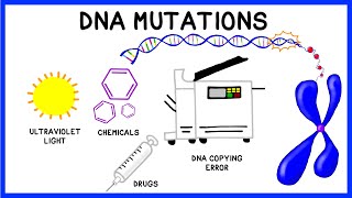 DNA Mutations [upl. by Ramraj]