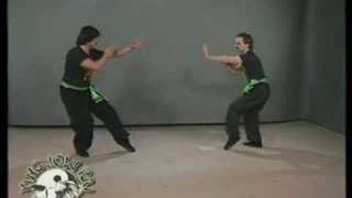 Eagle Claw Kung Fu Fighting Principles [upl. by Arocet]