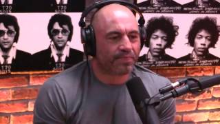 Joe Rogan on Microdosing Psilocybin [upl. by Eusassilem]