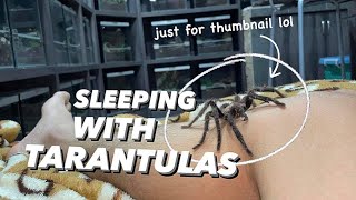 Sleeping with over 150 TARANTULAS to Save Electricity [upl. by Arikat]