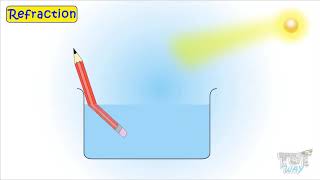 Light Refraction  Science  Grade 4 amp 5  TutWay [upl. by Enelyahs]