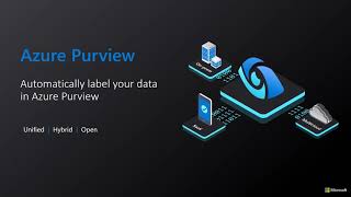 Azure Purview Label Your Data Automatically [upl. by Knowland]