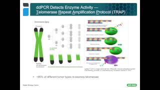 Using Droplet Digital™ PCR for Cancer and Liquid Biopsy Studies [upl. by Aneekat400]