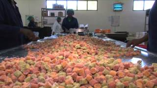 The dried fruit factory process [upl. by Marpet457]