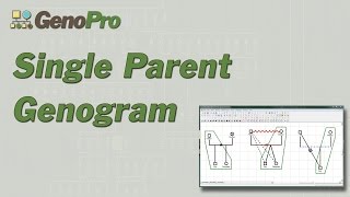 Single Parent Genogram in GenoPro [upl. by Nahsaj]