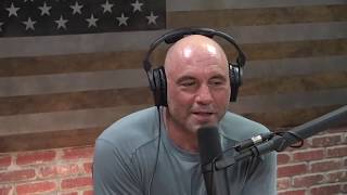 Joe Rogan and Edward Norton talk Steven Seagal [upl. by Ahsilyt]