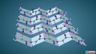 Proteins and their Structure [upl. by Diane161]