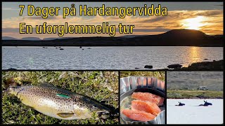 Hardangervidda  Fisketur  Sant [upl. by Annayk282]