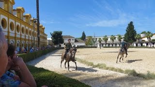 Jerez de la Frontera Spain  Andalusian Horse show museum beautiful grounds [upl. by Nibas]