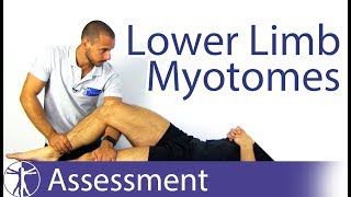 Myotomes Lower Limb  Peripheral Neurological Examination [upl. by Ailes754]