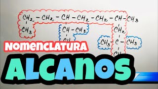 ✅ Nomenclatura de ALCANOS paso a paso [upl. by Idham]