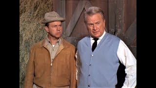 Green Acres  The Moo Activated Barn Door amp Mr Douglas TV Show [upl. by Lillis241]