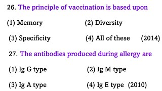 DNA Replication  Molecular Basis of Inheritance  Class 12 Genetics [upl. by Bauer]