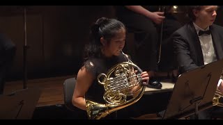 Tchaikovsky Symphony No 5 II Horn Solo [upl. by Oulman]