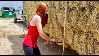 Hauling Hay to the Feed Store  Cutting More Hay Down [upl. by Hareehat]