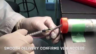 How to do intravenous tail injection in mouse [upl. by Suiremed]