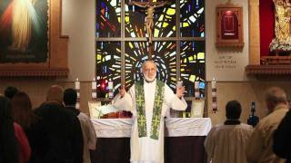 Sacraments 101 Holy Orders what ordination means [upl. by Nilak439]