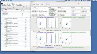 Expert Cytometry Teaching Point  Compensation with FlowJo [upl. by Nahgam830]