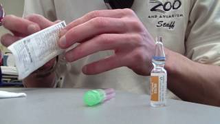 How to Prepare Epinephrine 11000 [upl. by Ama]