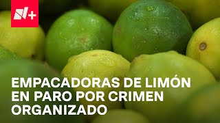 Consumidores y comerciantes sufren paro de limoneros en Michoacán  En Punto [upl. by Cathrine776]