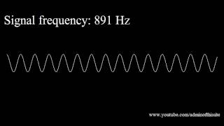 20Hz to 20kHz Human Audio Spectrum [upl. by Nitsua]