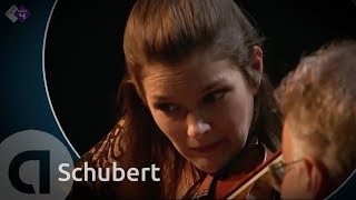 Schubert Pianotrio in Besgroot D 898  Janine Jansen amp Friends  Kamermuziek Festival 2011 [upl. by Nyladnohr232]