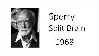 Sperry 1968 in 2 minutes [upl. by Aber]